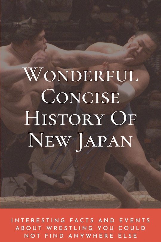 Couverture_Wonderful Concise History Of New Japan