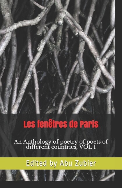 Couverture_la fenêtre de paris