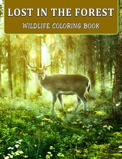 Couverture_Lost In The Forest