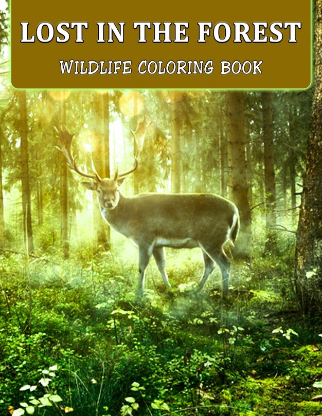 Couverture_Lost In The Forest