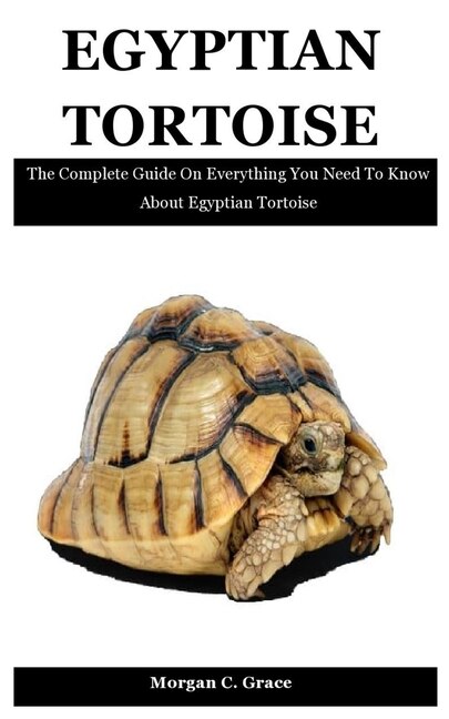 Front cover_Egyptian Tortoise