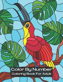 Front cover_Color By Number Coloring Book for Adult