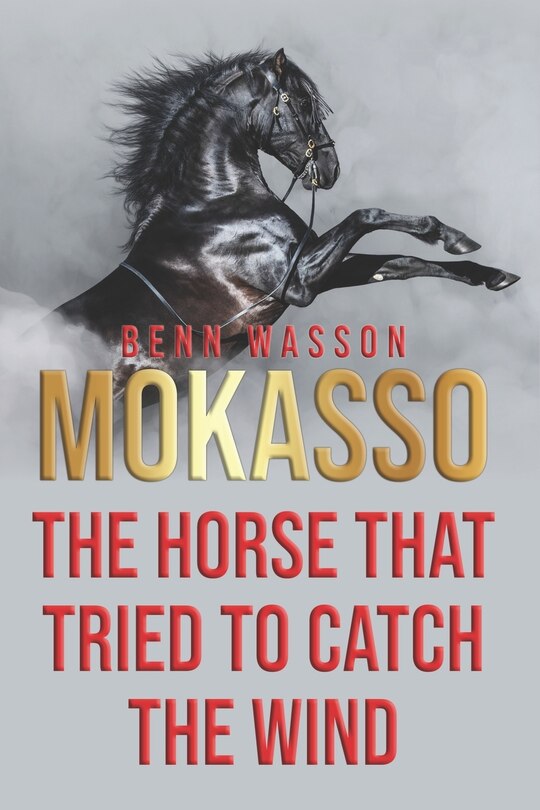 Front cover_Mokasso, the horse that tried to catch the wind
