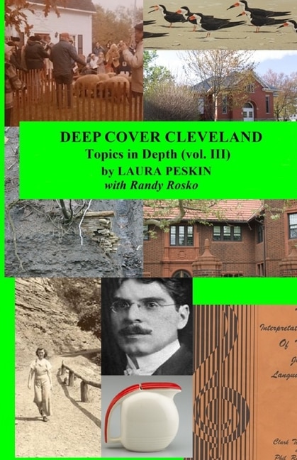 Front cover_Deep Cover Cleveland