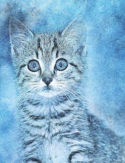 Front cover_Cat lovers Sketch Book