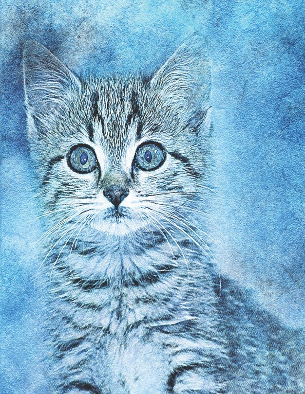 Front cover_Cat lovers Sketch Book