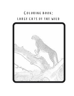 Couverture_Coloring book