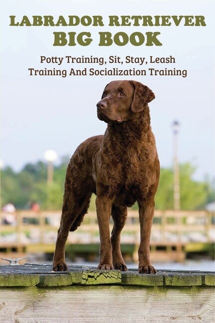 Couverture_Labrador Retriever Big Book