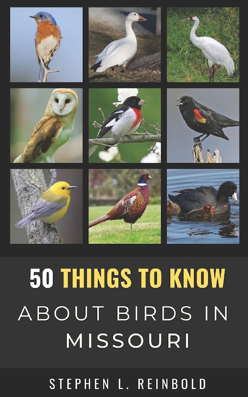 Front cover_50 Things to Know About Birds in Missouri