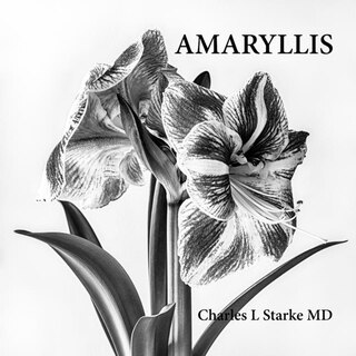 Front cover_Amaryllis