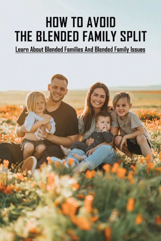 Couverture_How To Avoid The Blended Family Split