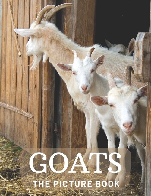 Goats: The Picture Book of Beautiful Goats for Kids, Alzheimer's Seniors with Dementia.