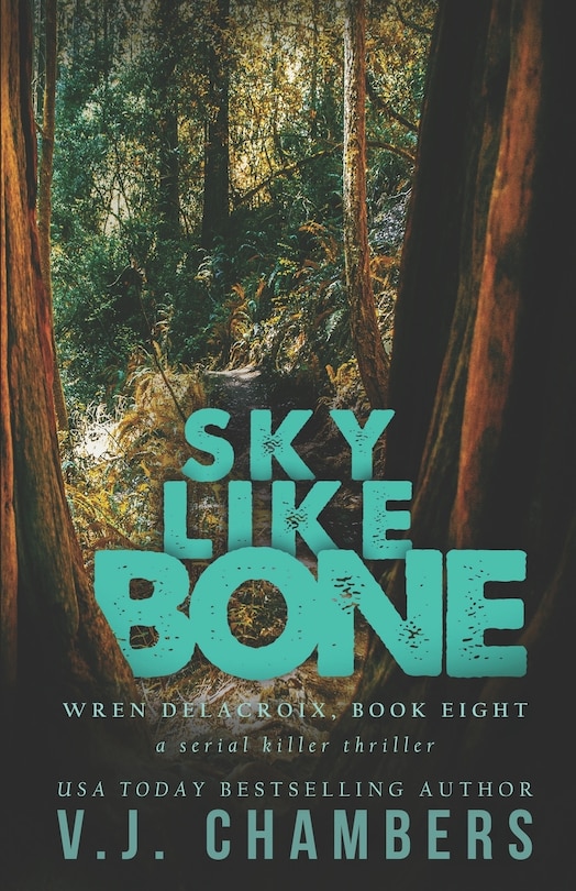 Front cover_Sky Like Bone