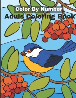 Couverture_Color By Number Adult Coloring Book