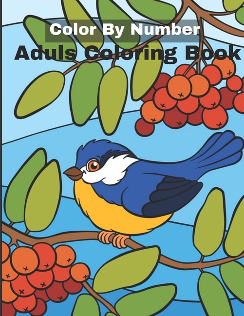 Couverture_Color By Number Adult Coloring Book