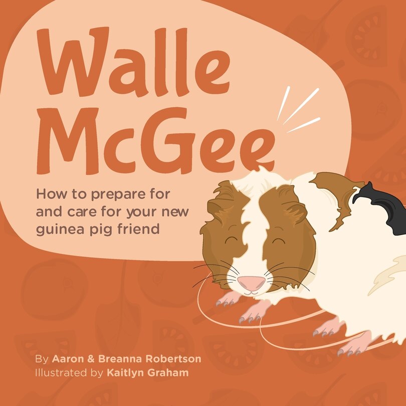Couverture_Walle McGee