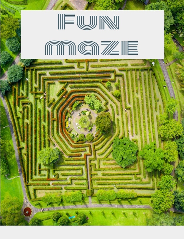 Front cover_Maze Book - Easy to Moderate to Challenging Puzzles