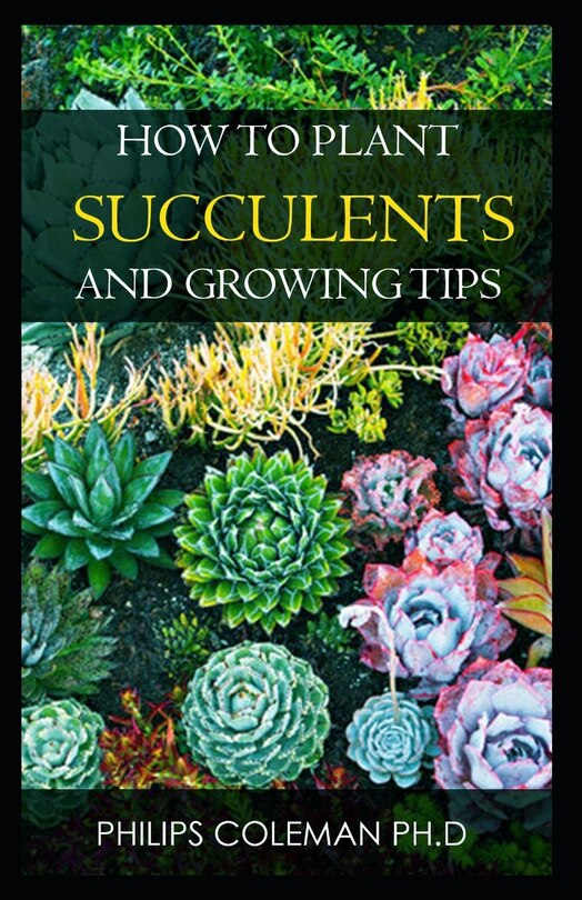 Front cover_How to Plant Succulents and Growing Tips