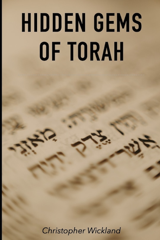 Couverture_Hidden Gems of Torah