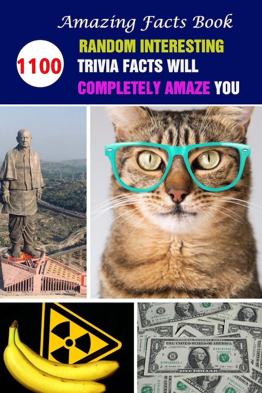 Couverture_Amazing Facts Book