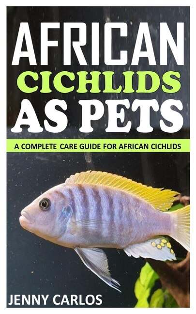 Caring for sale african cichlids