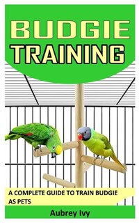 Budgie Training: A Complete Guide to Train Budgie as Pets
