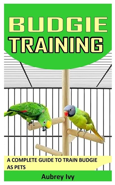Budgie Training: A Complete Guide to Train Budgie as Pets