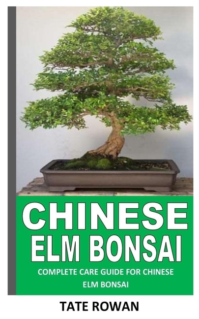 Chinese ELM Bonsai: Complete Care Guide for Chinese ELM Bonsai