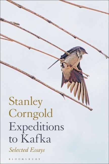 Couverture_Expeditions to Kafka