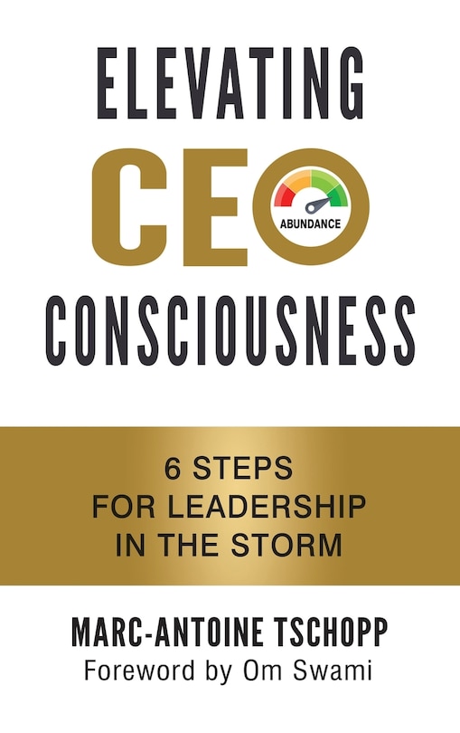 Front cover_Elevating CEO Consciousness