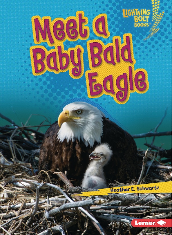 Front cover_Meet a Baby Bald Eagle