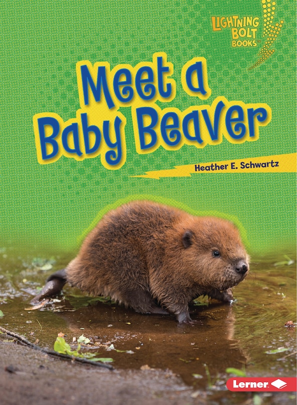 Couverture_Meet a Baby Beaver