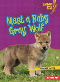 Front cover_Meet a Baby Gray Wolf