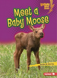 Couverture_Meet a Baby Moose