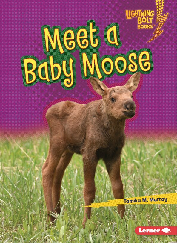 Couverture_Meet a Baby Moose