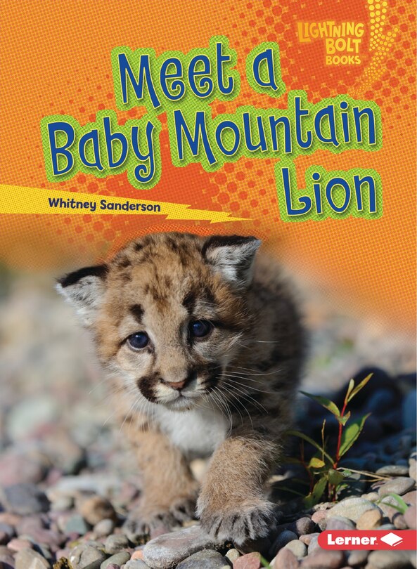 Front cover_Meet a Baby Mountain Lion