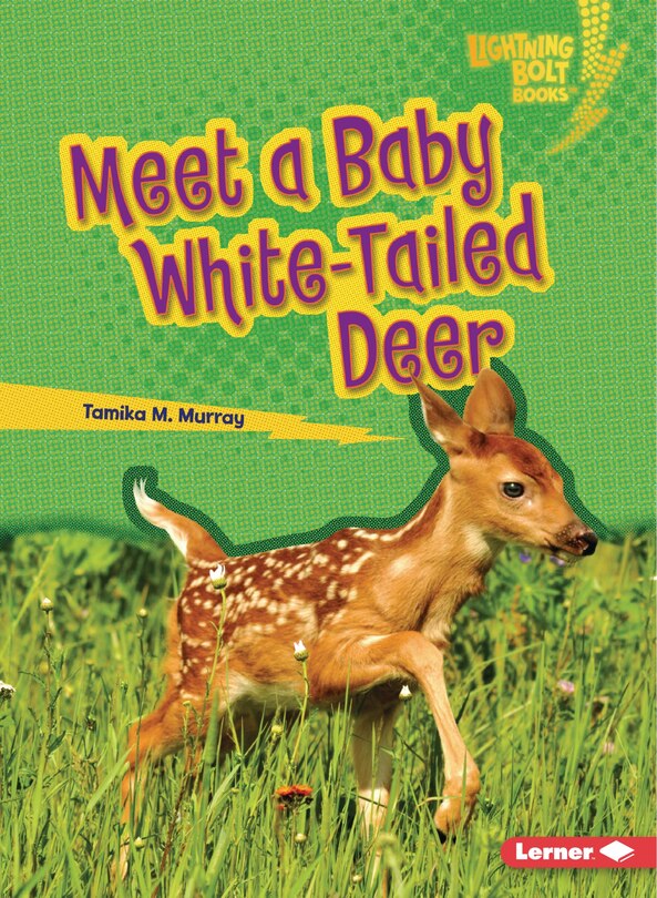 Front cover_Meet a Baby White-Tailed Deer