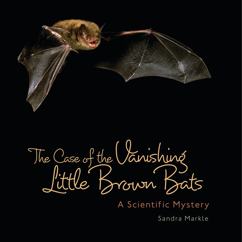 Front cover_The Case of the Vanishing Little Brown Bats
