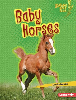 Front cover_Baby Horses