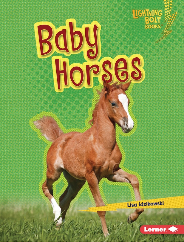 Front cover_Baby Horses