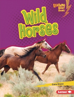 Couverture_Wild Horses