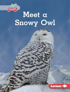 Couverture_Meet a Snowy Owl