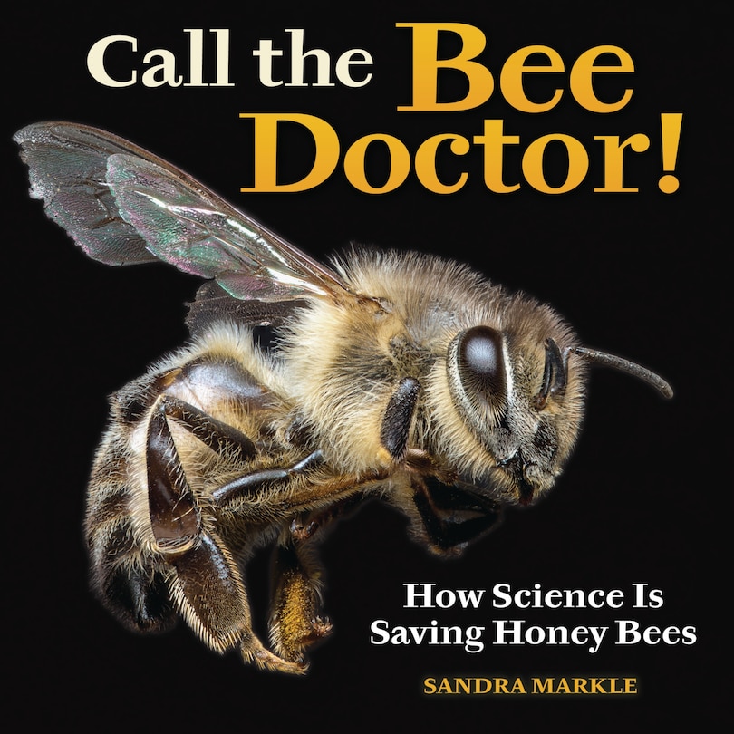 Front cover_Call the Bee Doctor!