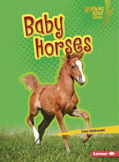 Front cover_Baby Horses