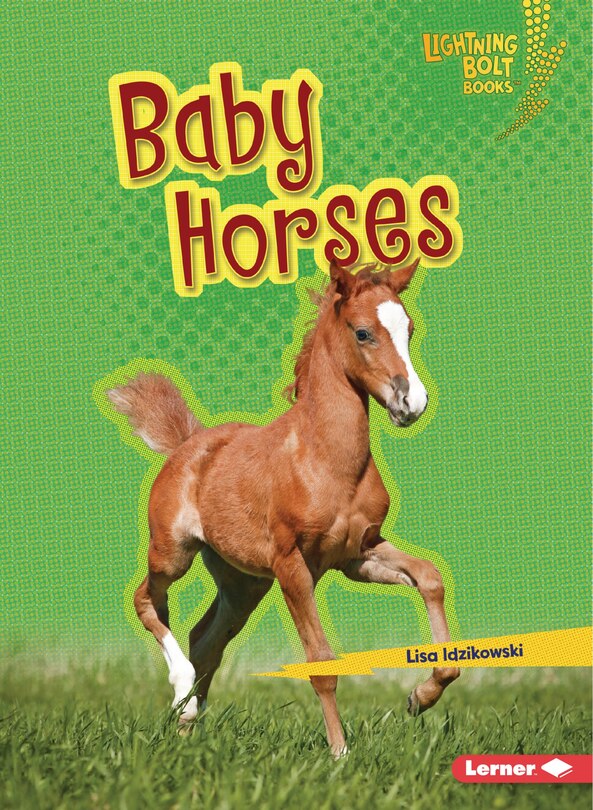 Front cover_Baby Horses
