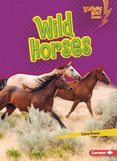 Couverture_Wild Horses