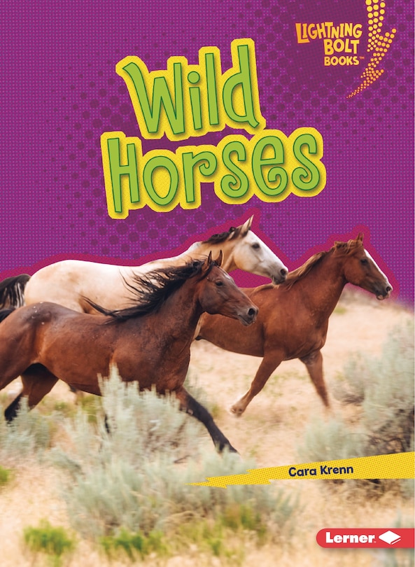 Couverture_Wild Horses