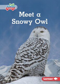 Front cover_Meet a Snowy Owl