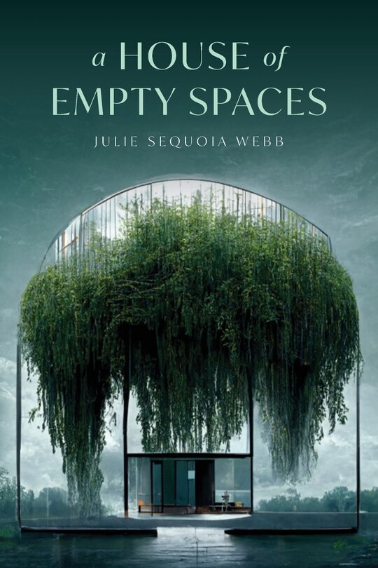 Front cover_A House of Empty Spaces