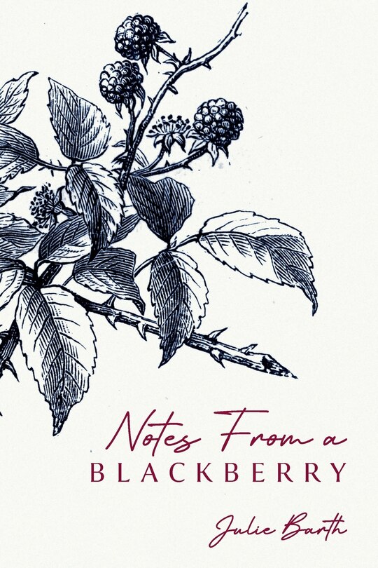 Front cover_Notes From A BlackBerry